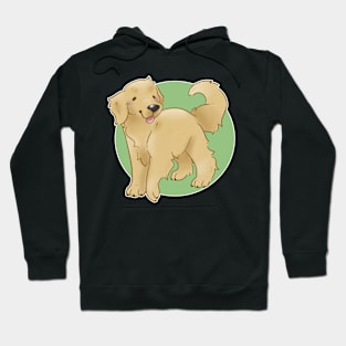 Golden Retriever - Golden Hoodie